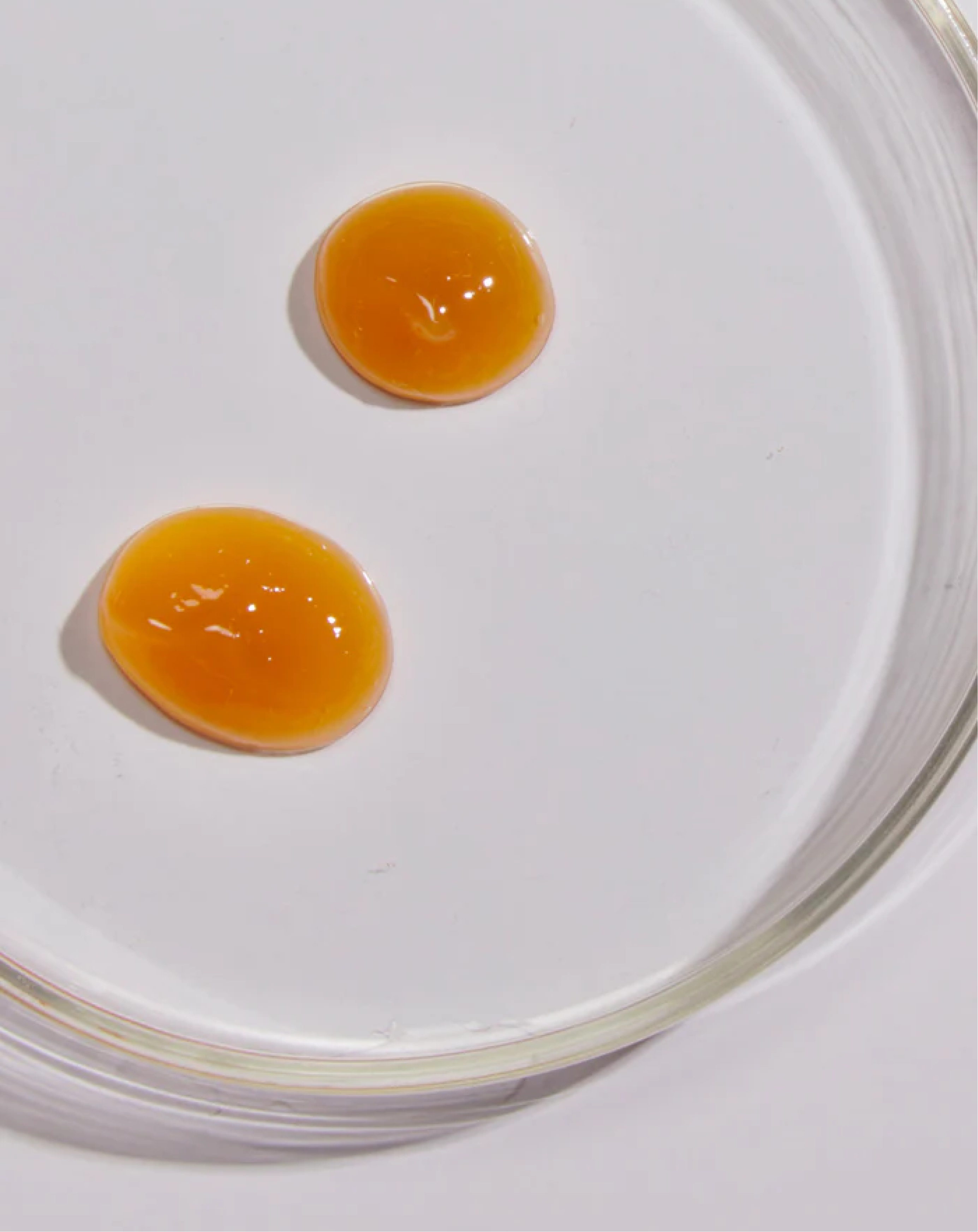 Altrient Liposomal Magnesium